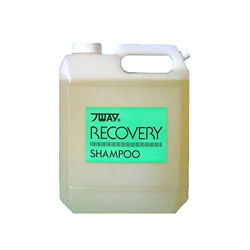 ニューウェイジャパン パイウェイ リカバリーシャンプー 4000ml