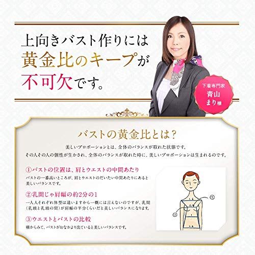 補正ブラ Lサイズ