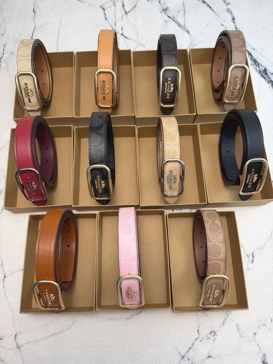 コーチ Coach Morganレディースベルト CE 969 13 COLOR