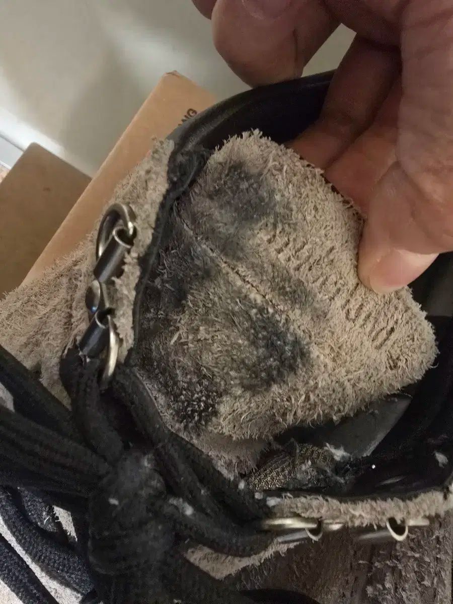 ティンバーランドxディスイズネバーザット モックトゥ GTX ミッド 265