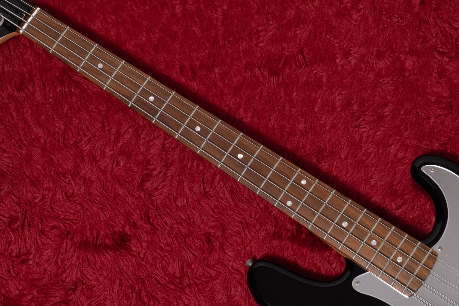 Squier