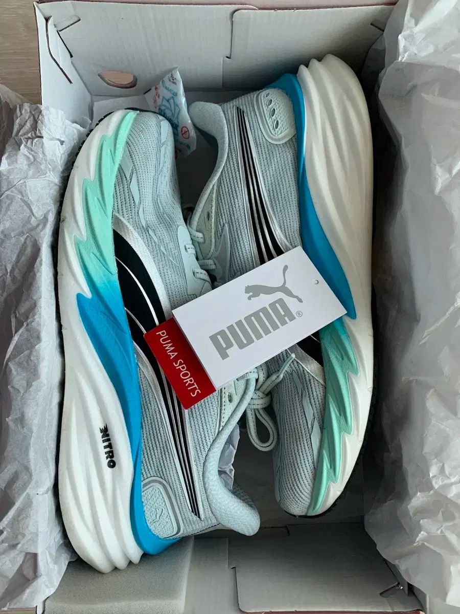 プーマ ベル シティ ニトロ 4 ワイド 270