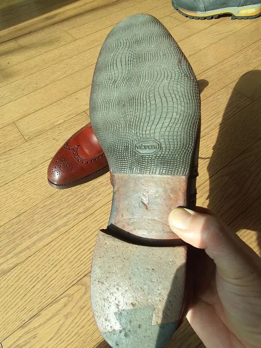 グリーン ウイングチップ