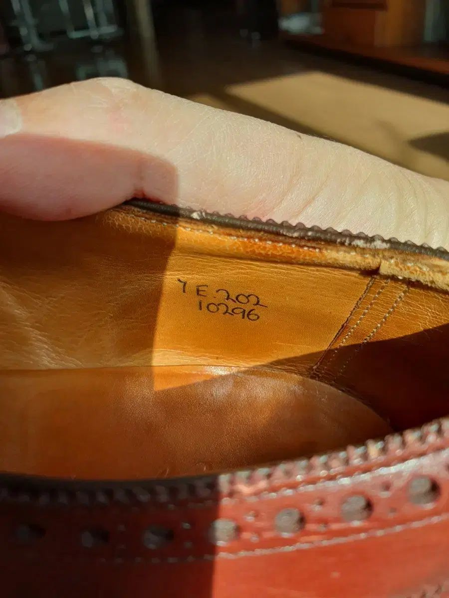 グリーン ウイングチップ