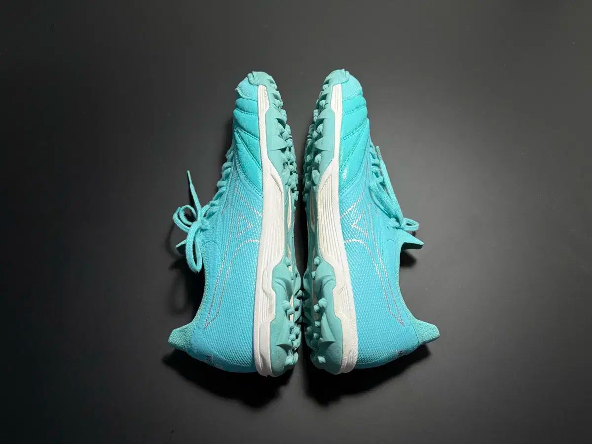 ベータ ジャパン