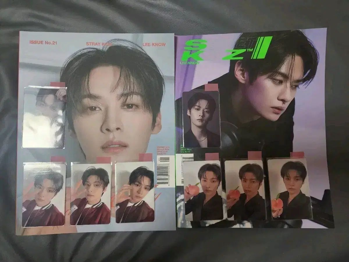 Stray Kids DICON リノ トレカ