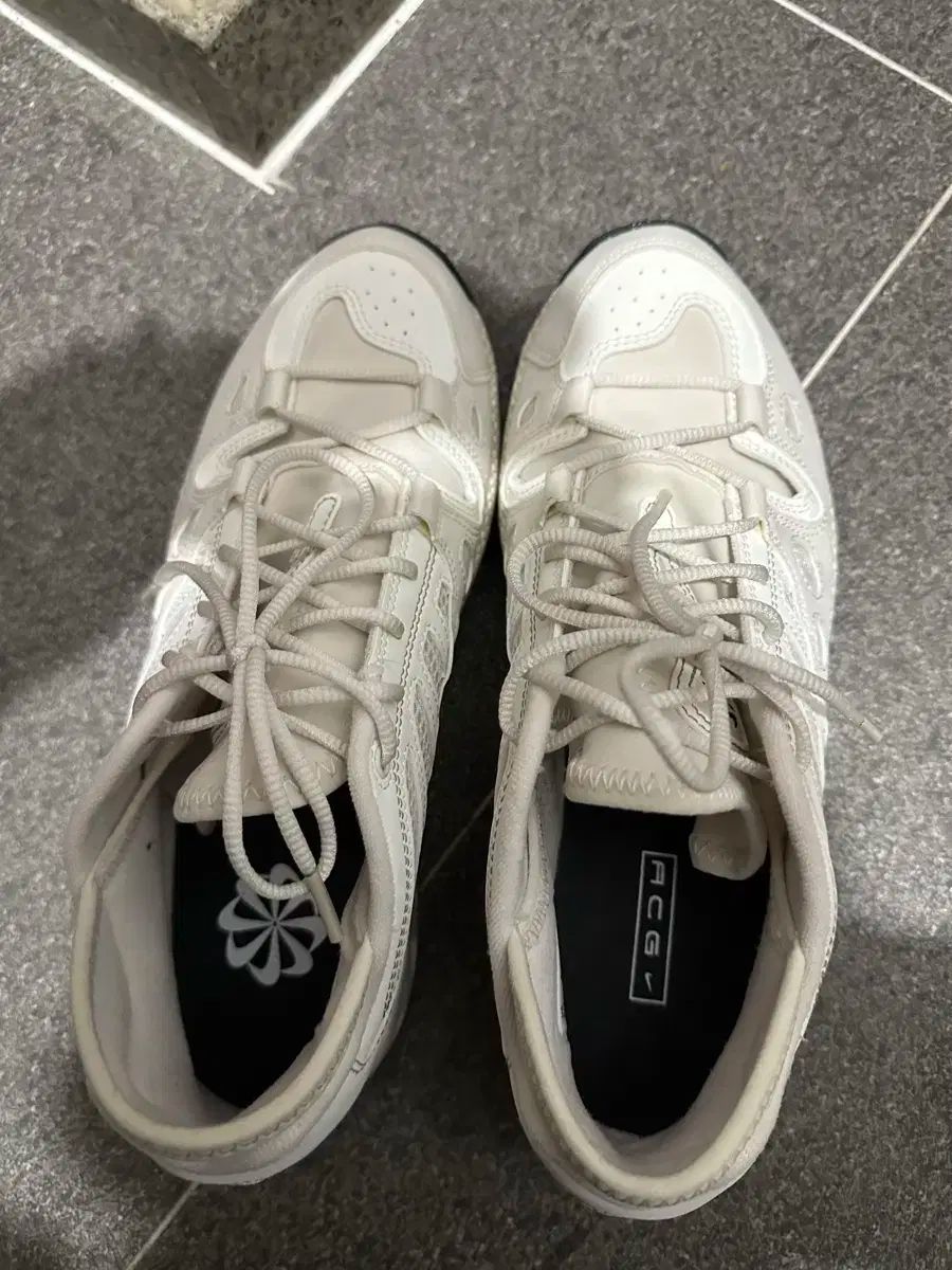 ナイキ ACG エア エクスプロード 265