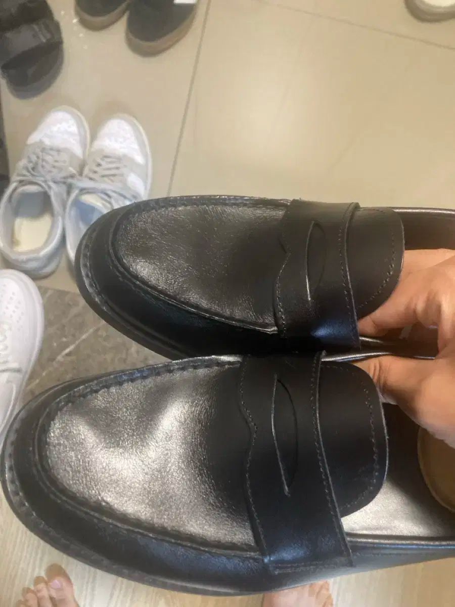 josepht ラルフ ローファー 265