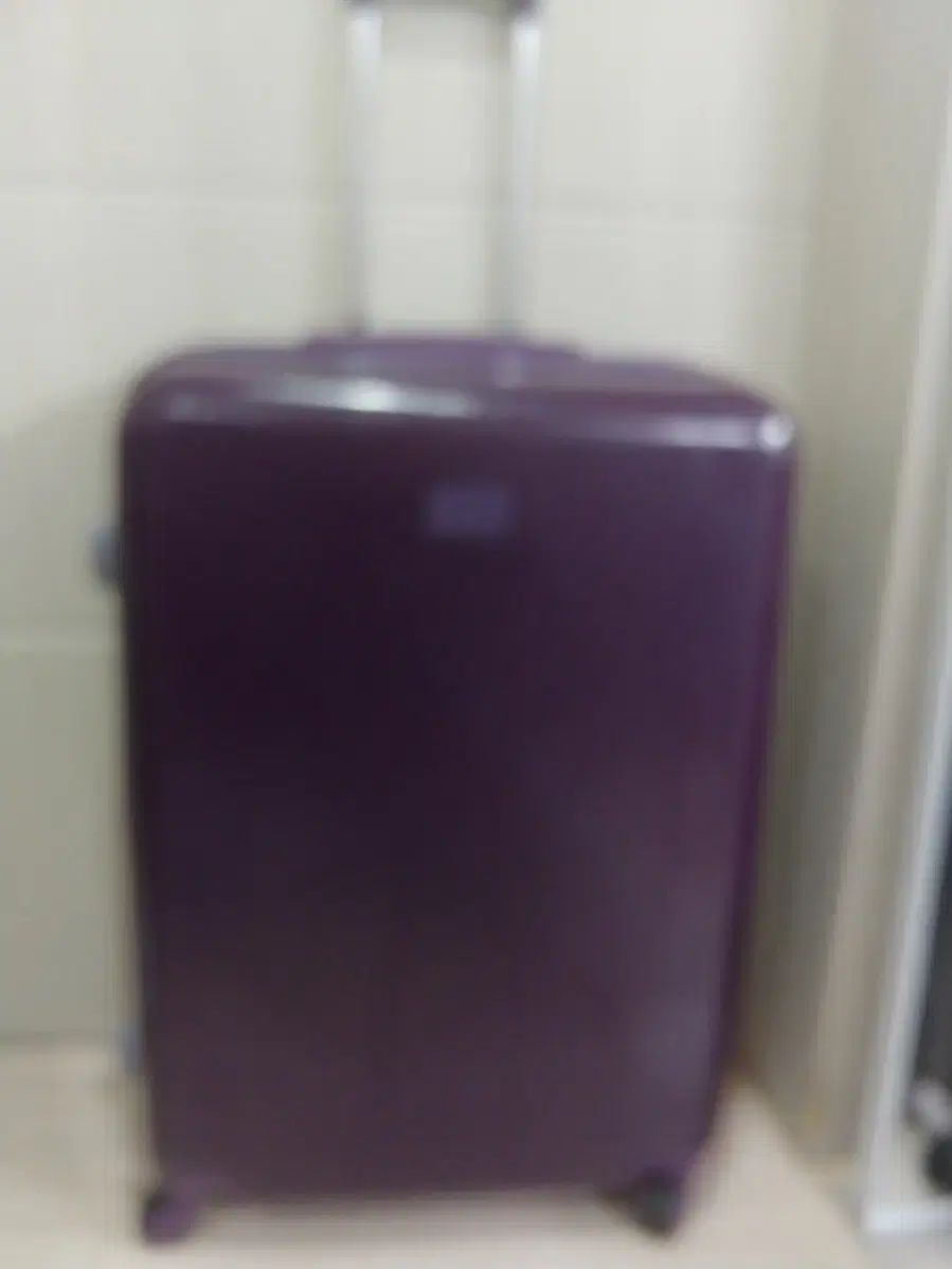 26インチ リーポ 旅行用キャリー