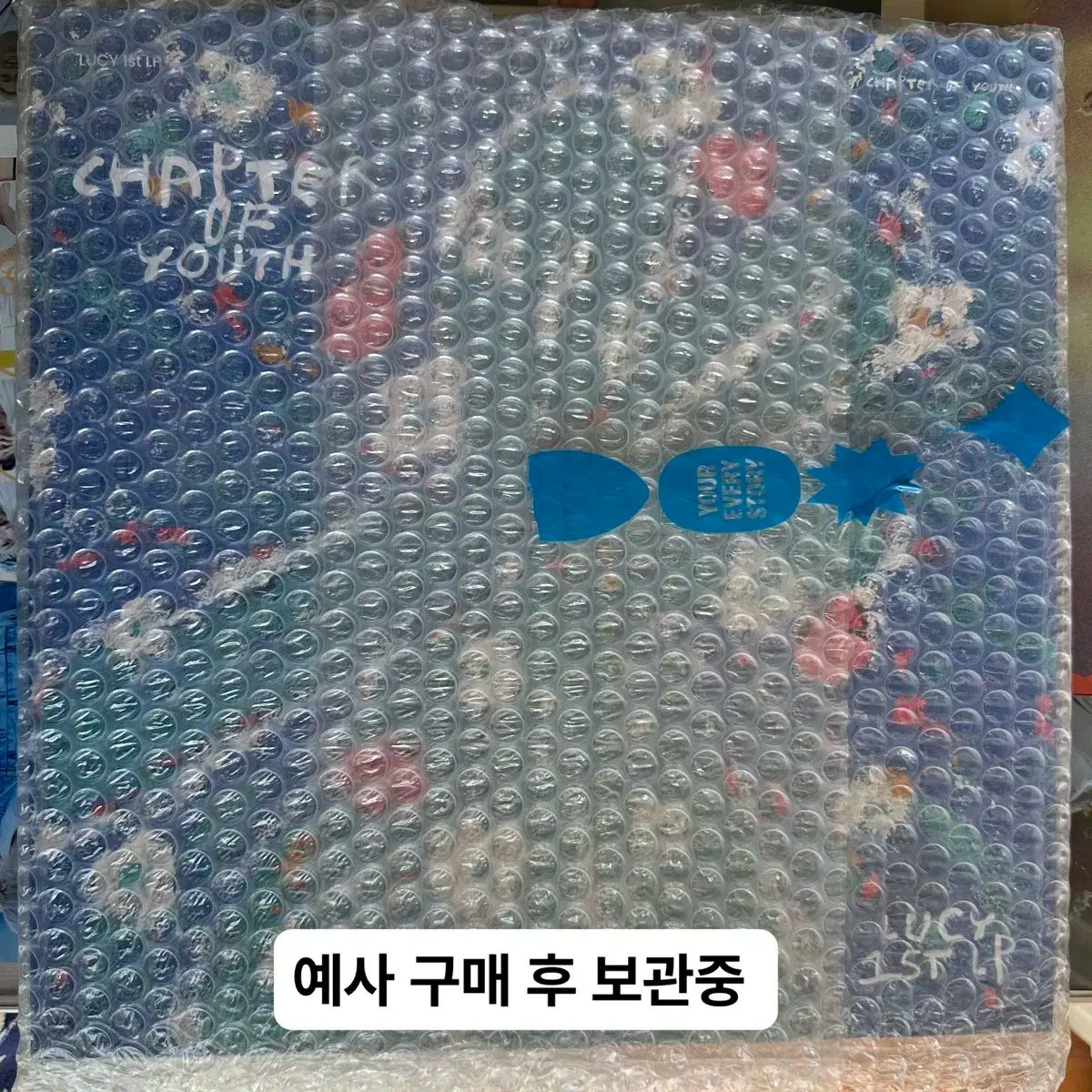 LUCY ルシ 1 st LP Chapter of Youth 盤 その他 楽器 機材 ホビー 楽器 アート