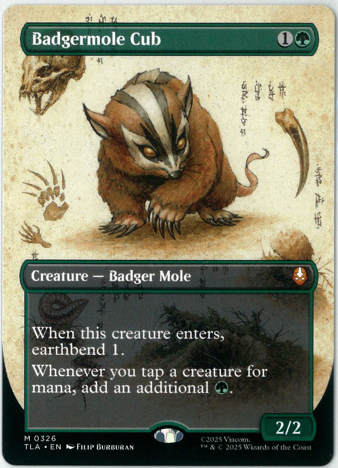 MTG 英語版 アナグマモグラの仔 Badgermole Cub ボーダーレス アバター 伝説の少年アン TLA 0326