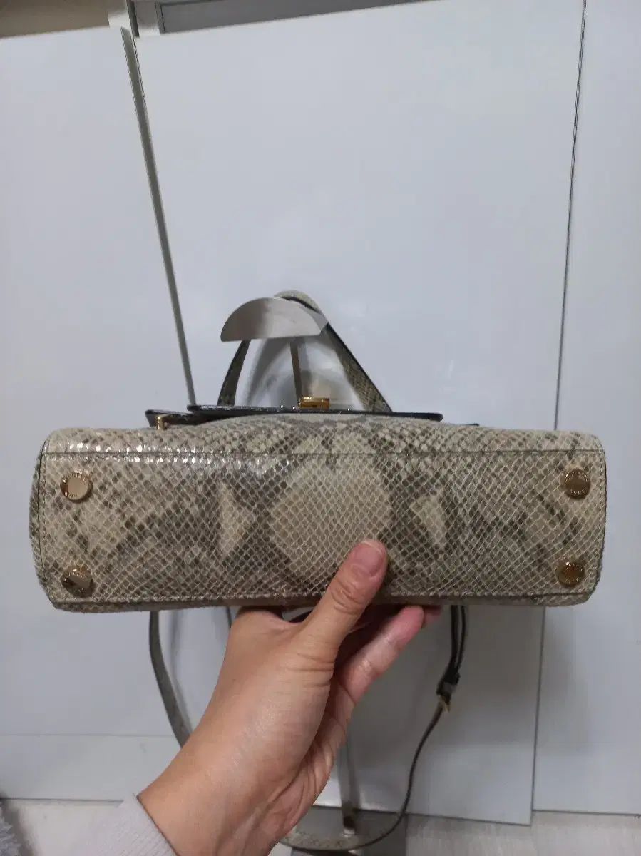 マイケルコース マイドレッド