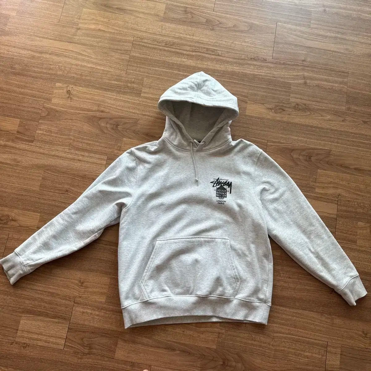 STUSSY Dover WORLD TOUR Hoodie T L