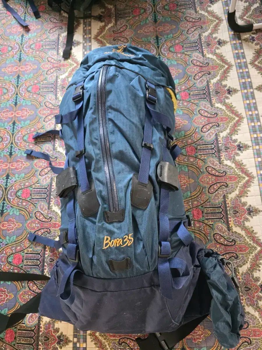 ARC TERYX アークテリクス パープル 35