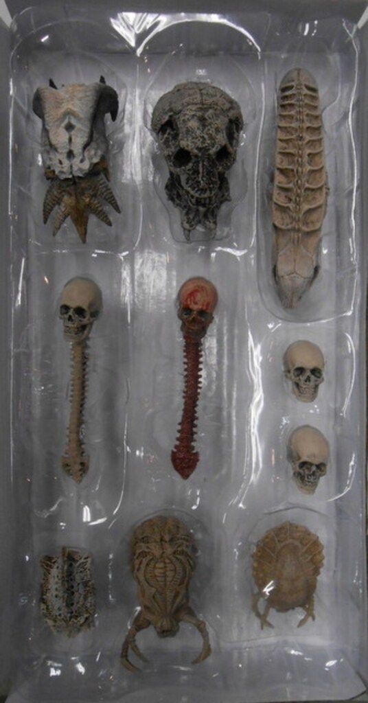 NECA ACCESSORY TROPHY SKULLS PACK 7インチ