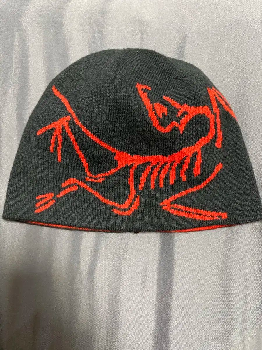 ARC TERYX アークテリクス ライトウェア ビーニー