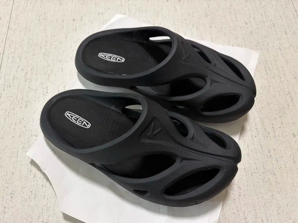 キーン シャンティ ブラック 240 ボックス含む