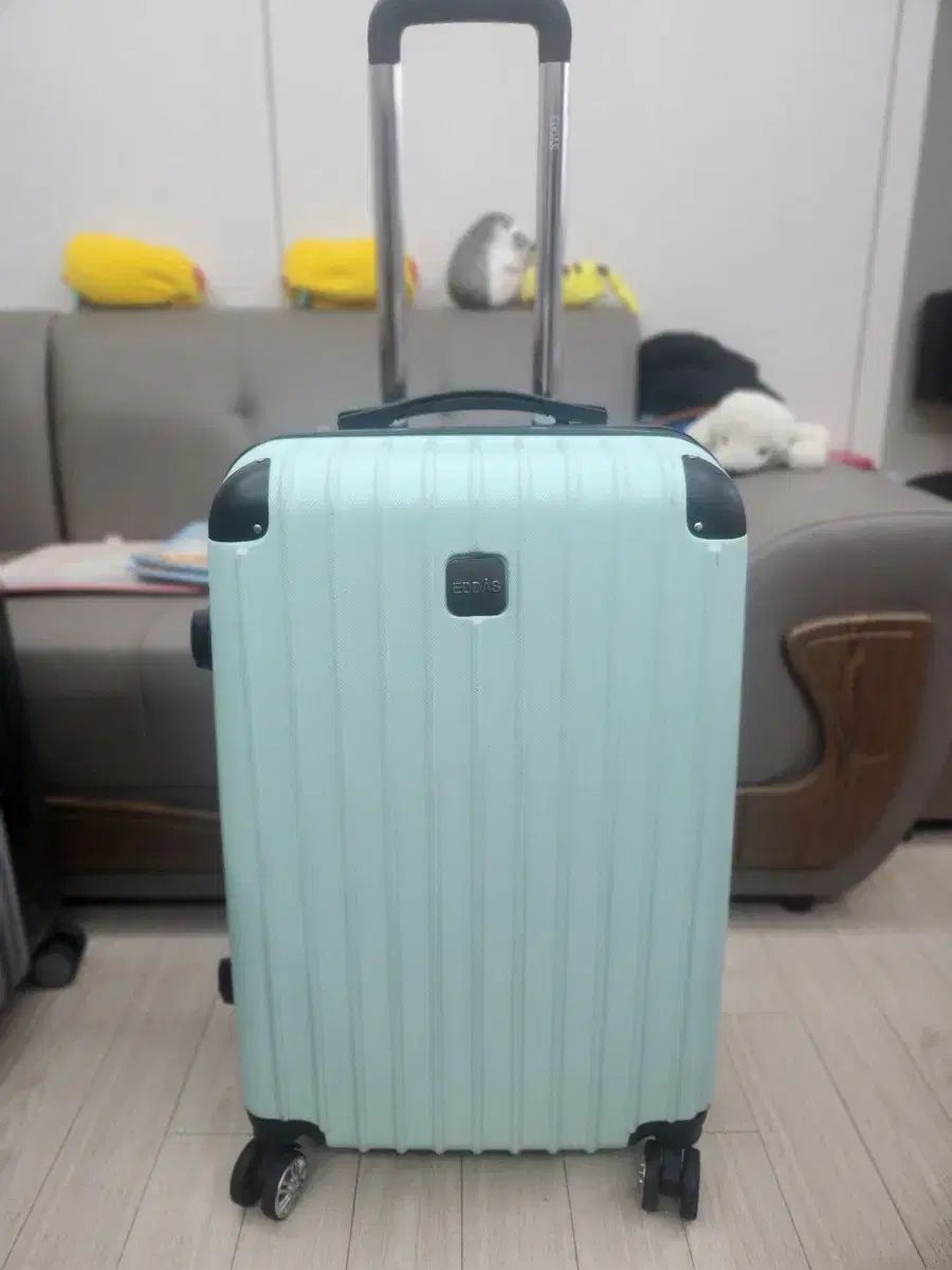 24インチ ミント色 旅行用キャリー