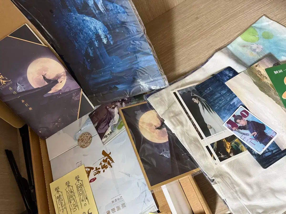 陳情令 公式設定集 フルセット