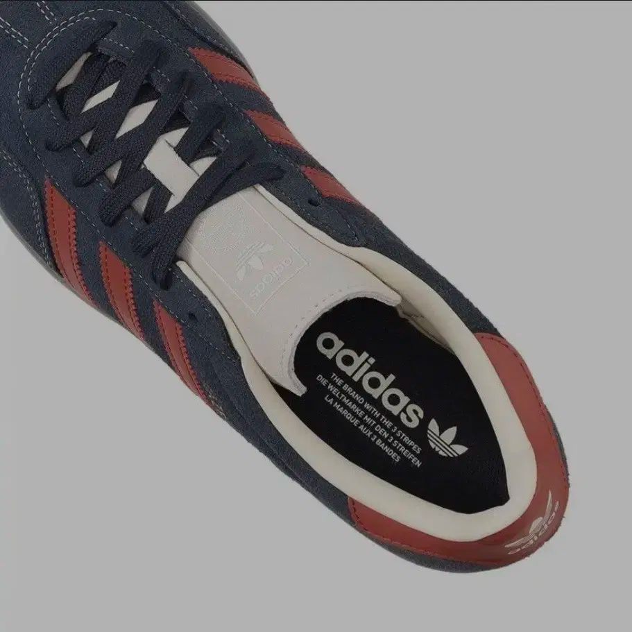 ガゼル インドア