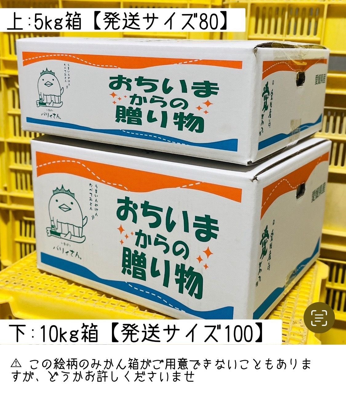 農薬不使用 国産レモン10kg 愛媛直送 - メルカリ