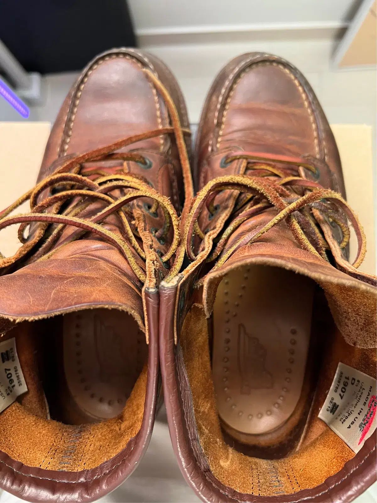 モックトゥ 1907