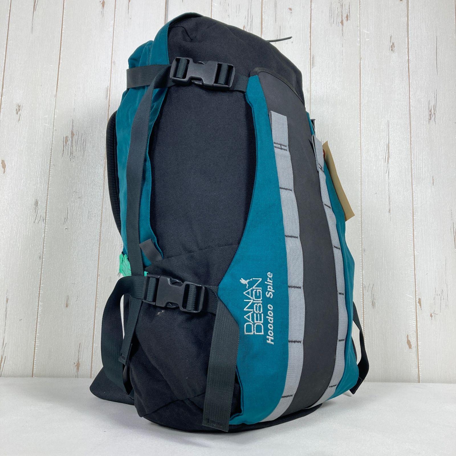 OneSize グリーン系 1995 Dana Design デイナデザイン フードゥースパイア Hoodoo Spire Spruce Black モデル ナイロン バッグ ストレージ バックパック デイパ