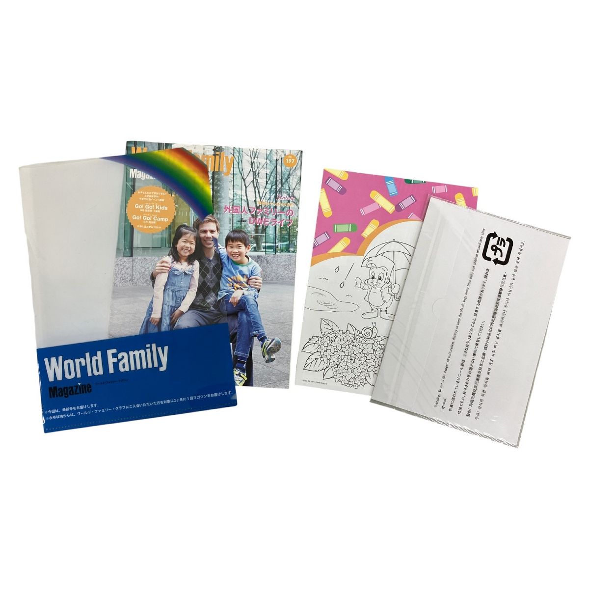 DWE シングアロング 2017年頃 DVD版 ワールドオブイングリッシュ 英語 子ども 教材