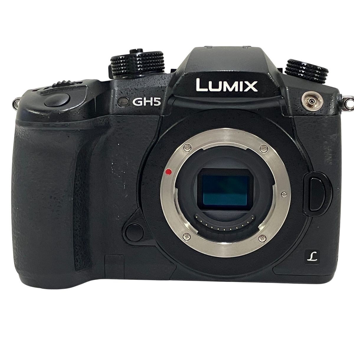  Panasonic パナソニック LUMIX ルミックス DC GH 5 ボディ ミラーレス一眼 デジタルカメラ 訳有 ミラーレス一眼 デジタルカメラ