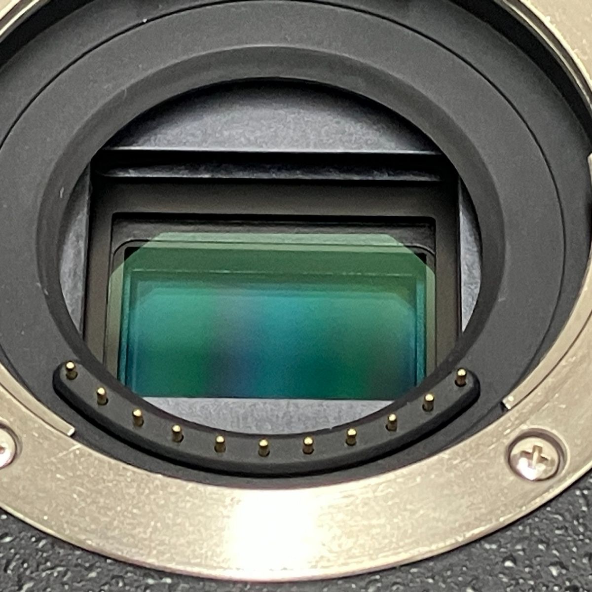 ボディ ミラーレス一眼