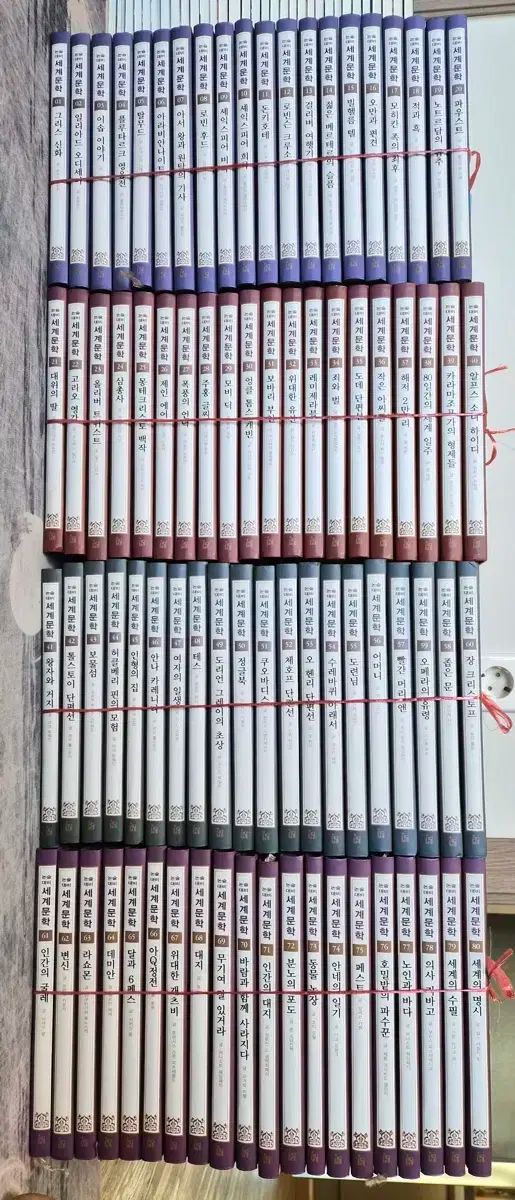 名門大に入れる論述 대비 世界文学 80巻