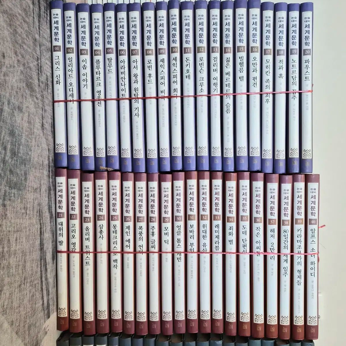 名門大に入れる論述 대비 世界文学 80巻