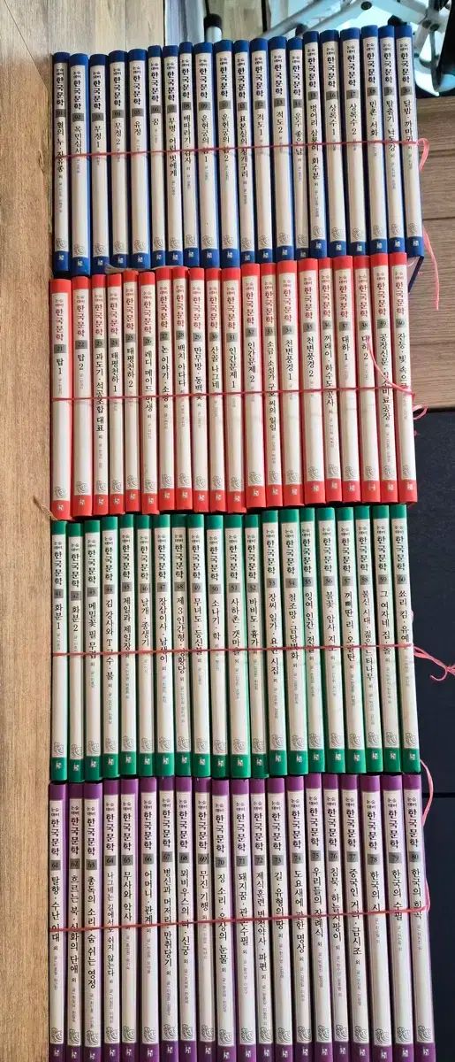 名門大に入れる論述 대비 韓国文学 80巻