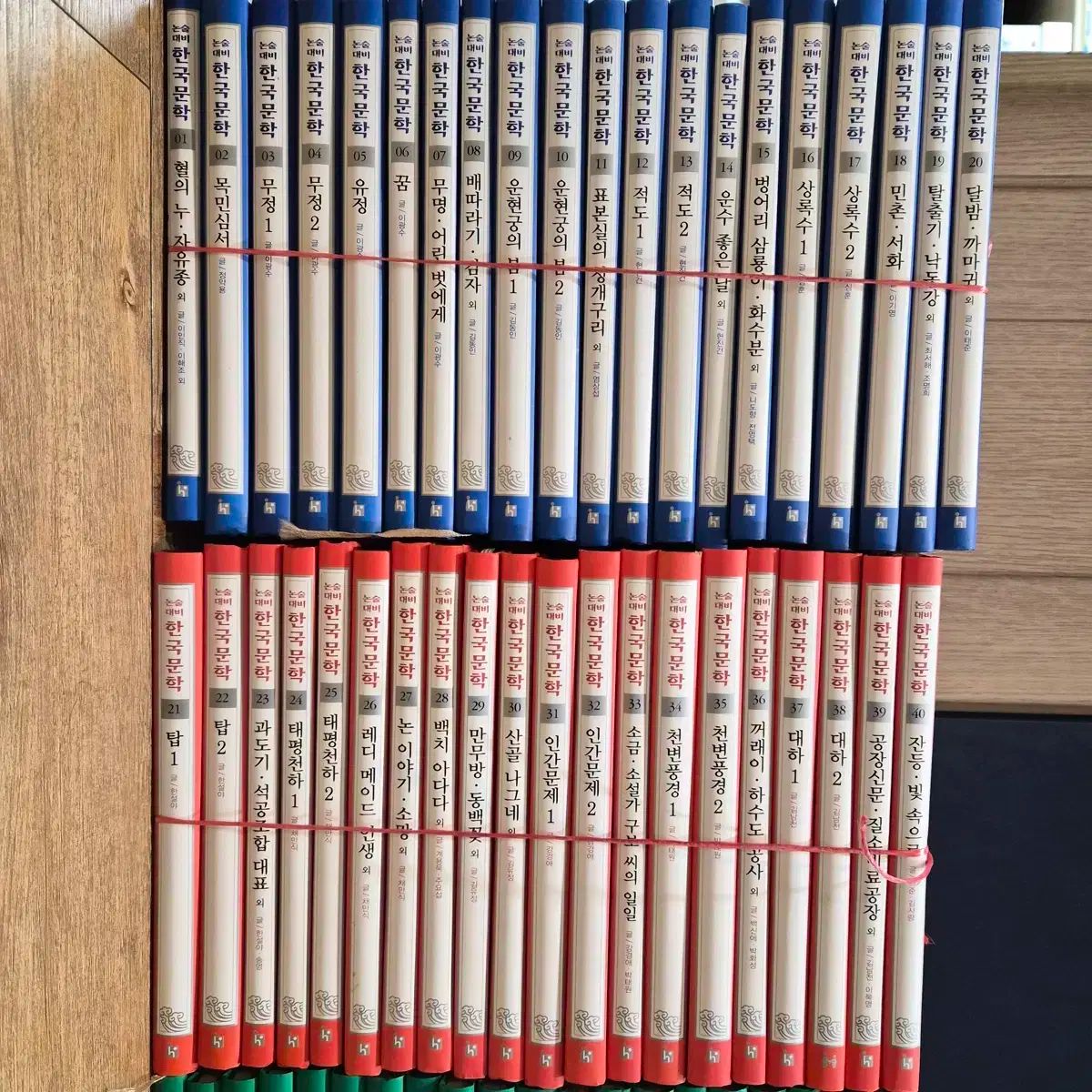 名門大に入れる論述 대비 韓国文学 80巻