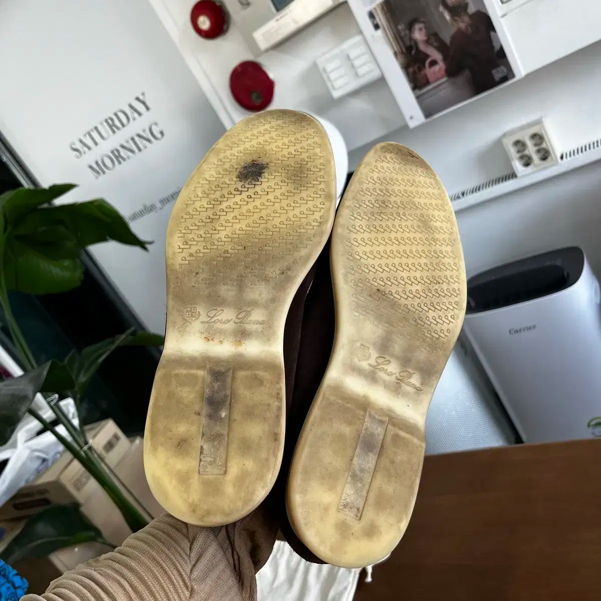 サマーウォーク