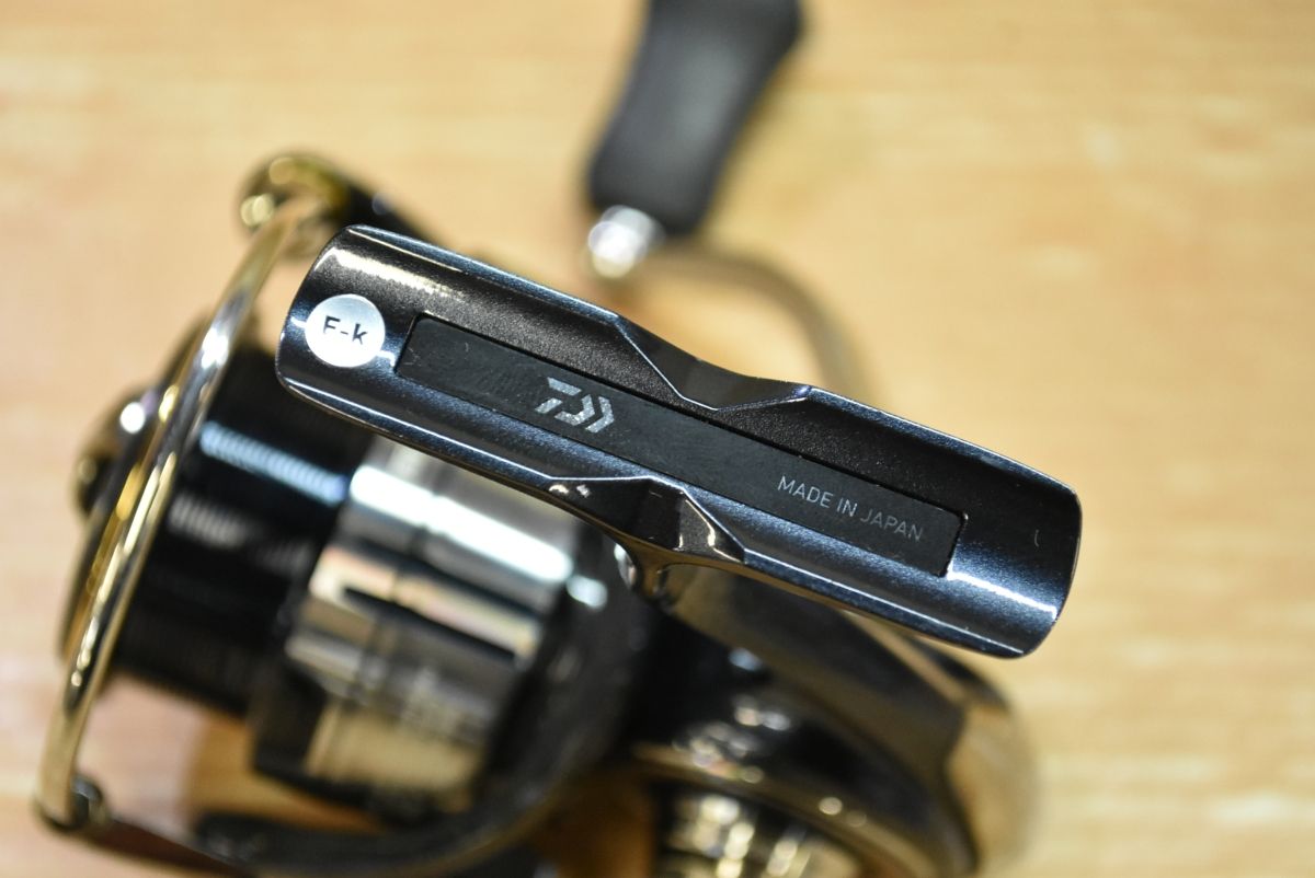 バーサタイル アオリイカ