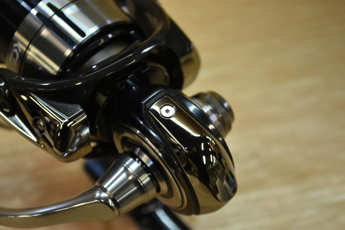 バーサタイル アオリイカ