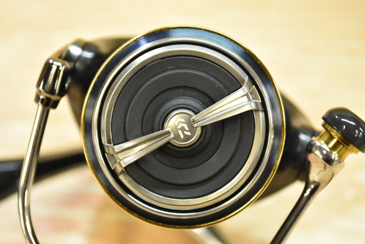 バーサタイル アオリイカ