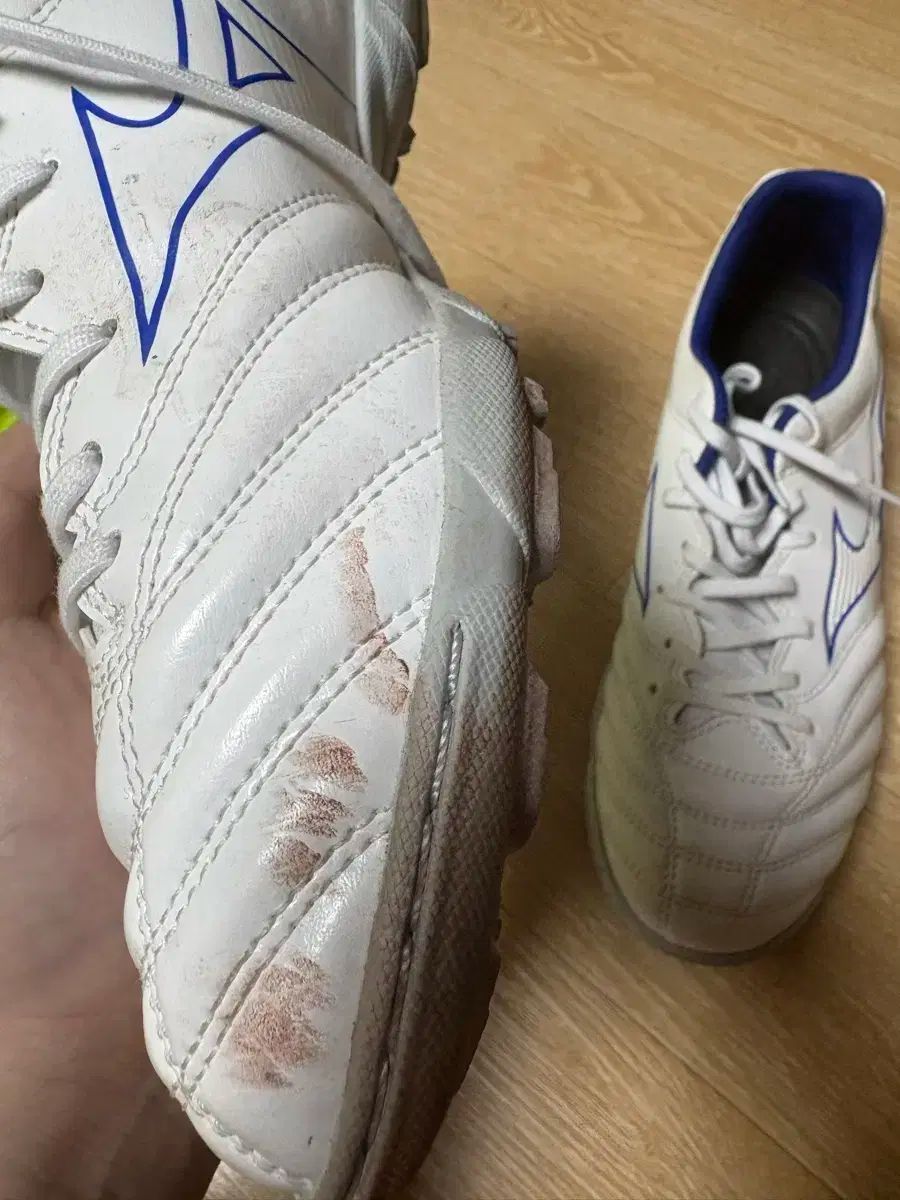 モナルシーダ NEO 2 セレクト as tf