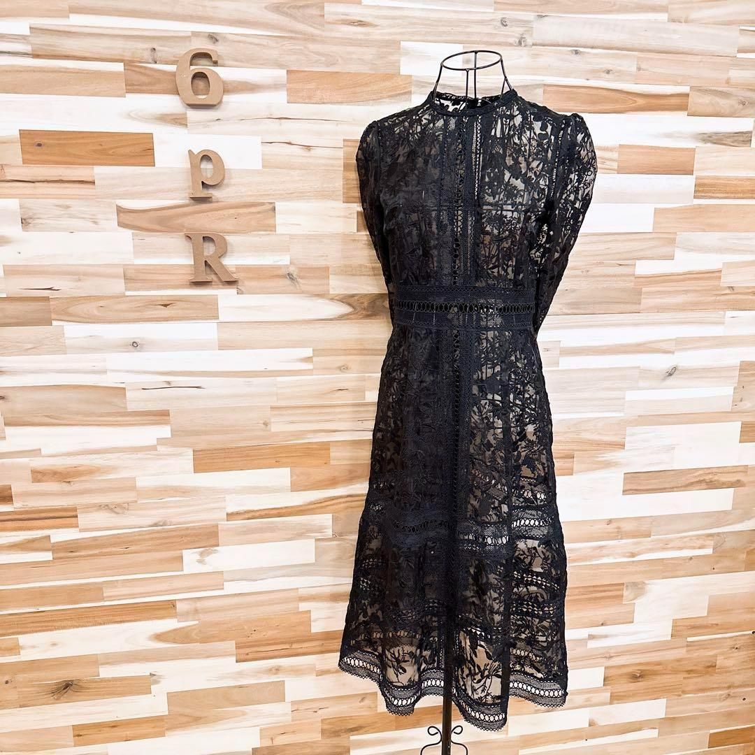 【フレイアイディー】シアー オーガンジー エンブロイダリー レース ワンピース黒