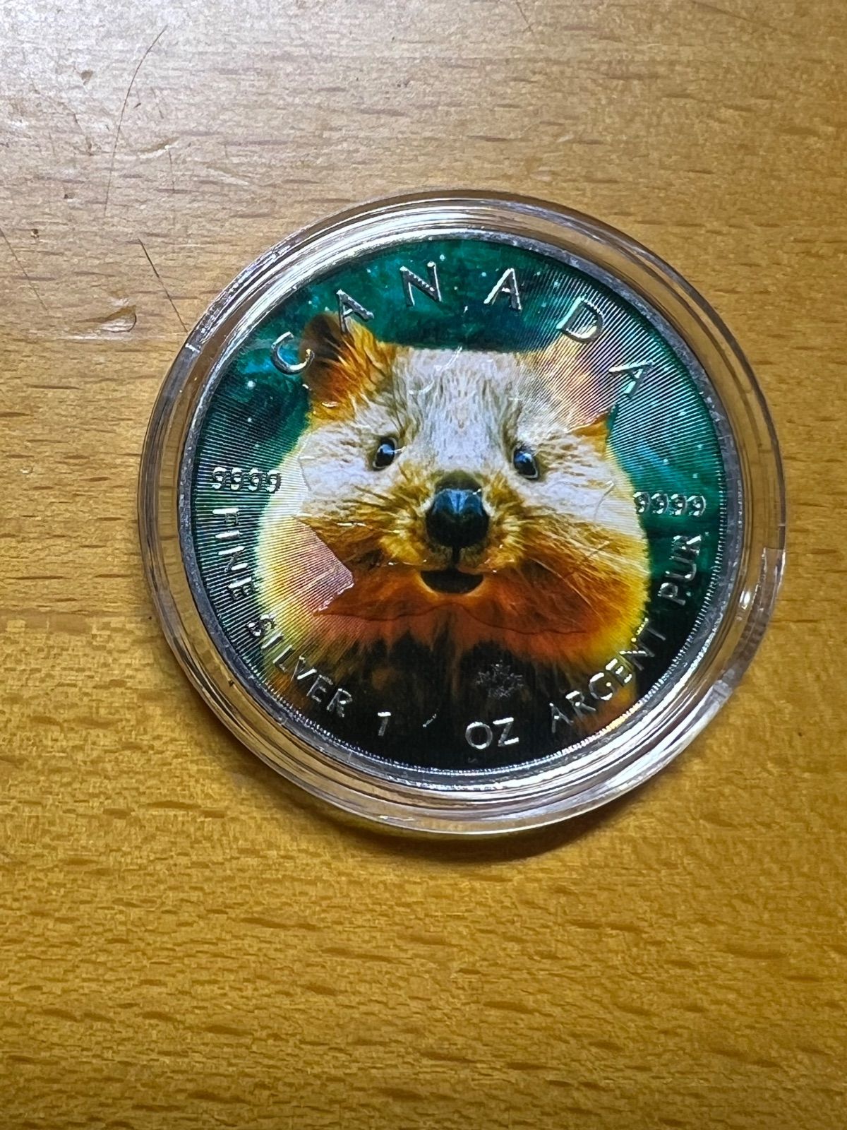 メイプルリーフ 銀貨 カラー クォッカワラビー 1オンス【世界100枚限定