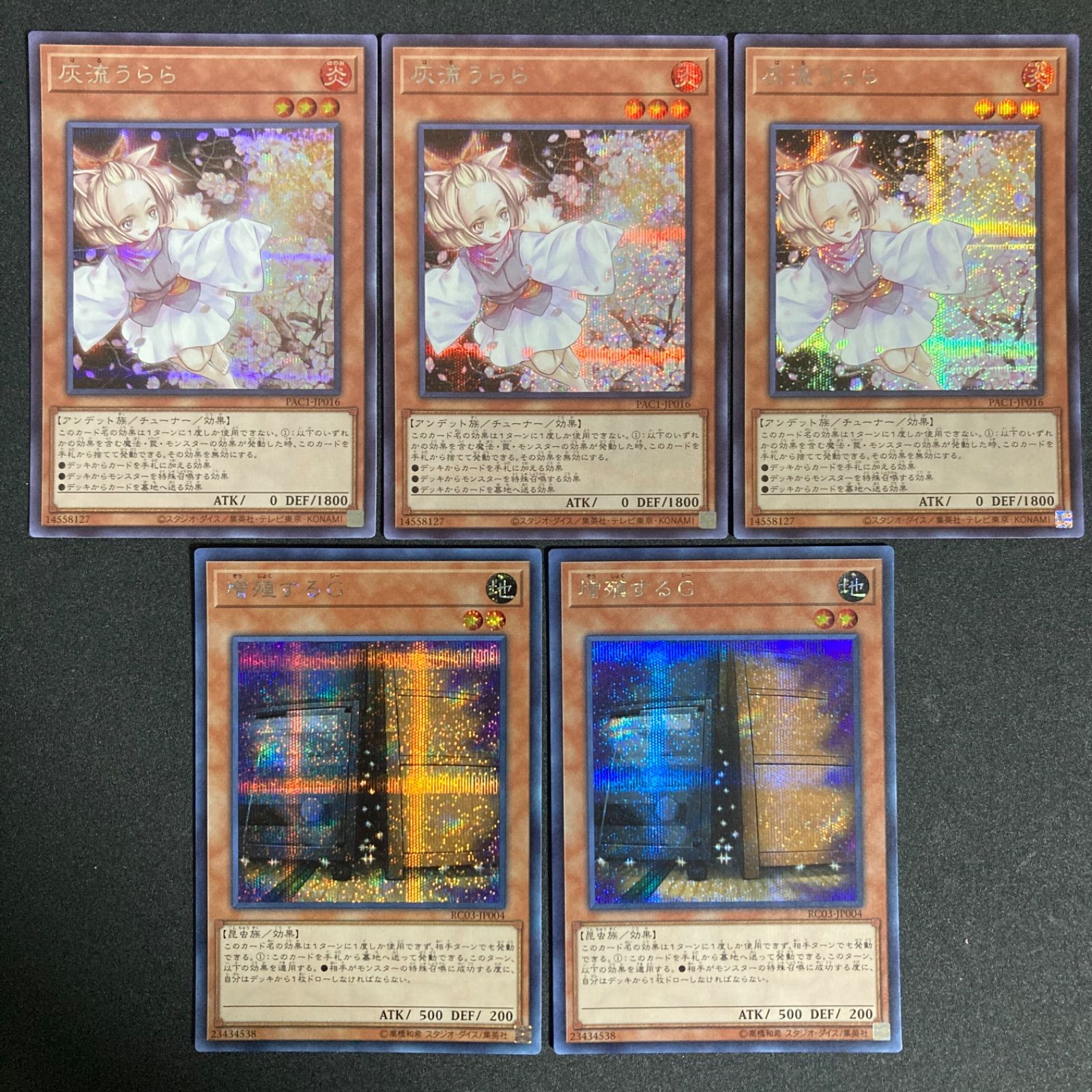 灰流うらら はるうらら シークレット 増殖するG 増G ぞうしょくするじ