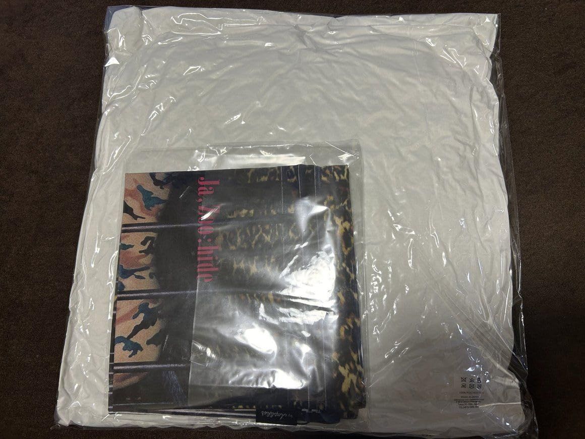 hide ヒデ X JAPAN グッズ CUSHION クッション VINYL by Amplifier Ja Zoo アンティークアクセサリー 陶磁器