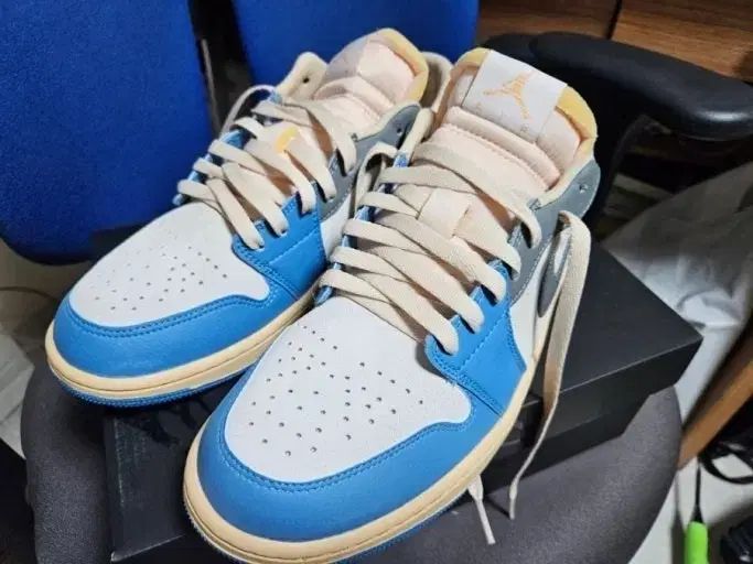 285 ナイキ ジョーダン 1 ロー 東京 96