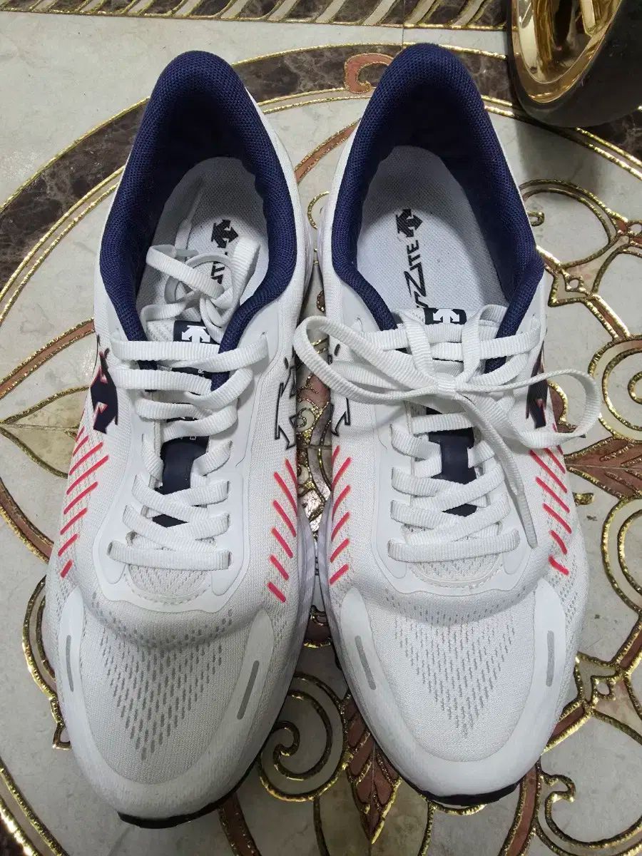 DESCENTE エナジャイト ランニングシューズ 260サイズ