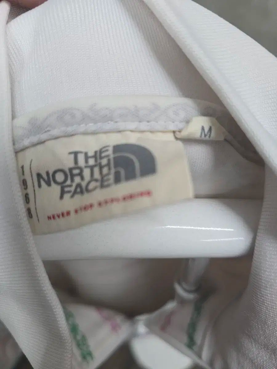 ストライプ レディース