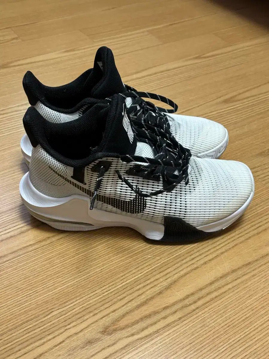 ナイキ バスケシューズ バレーボールシューズ バドミントンシューズ 255