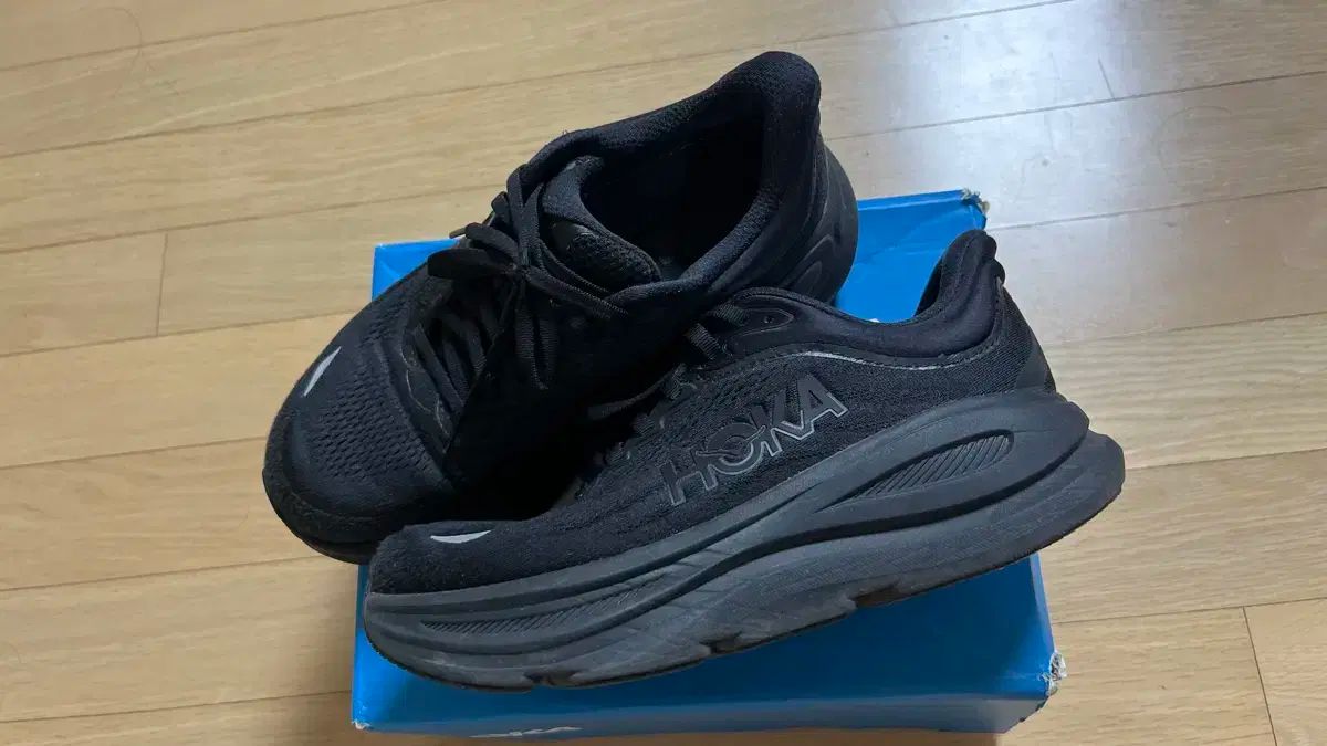 ボンダイ9 レディース