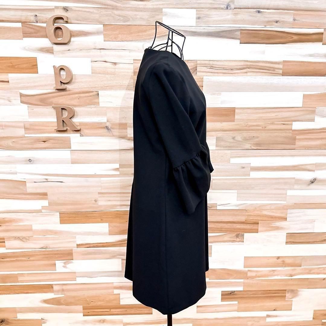 ザラ ボリューム