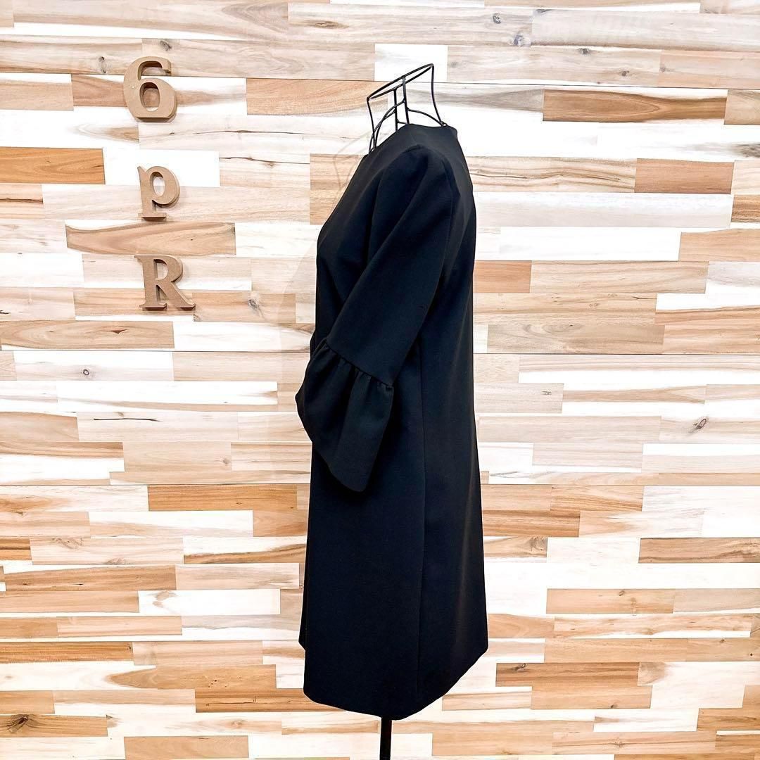 ザラ ボリューム